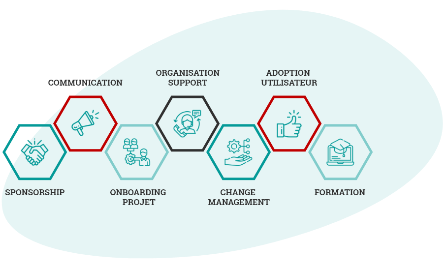 stratégie de go live projet 